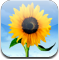 http://www.gioli.nl/tweakers/ipodreview/fotos-icon.png